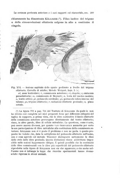 Archivio italiano di anatomia e di embriologia