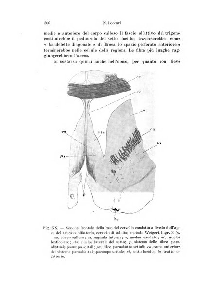 Archivio italiano di anatomia e di embriologia