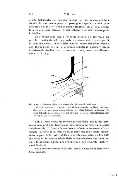 Archivio italiano di anatomia e di embriologia