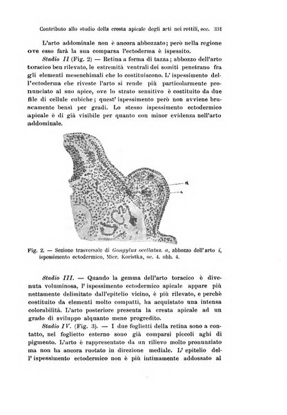 Archivio italiano di anatomia e di embriologia