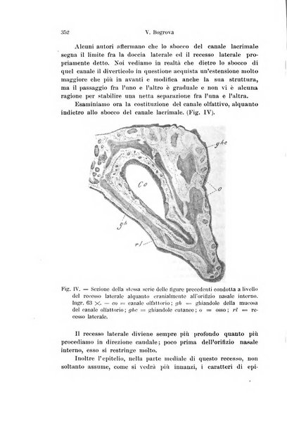 Archivio italiano di anatomia e di embriologia