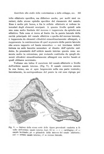 Archivio italiano di anatomia e di embriologia