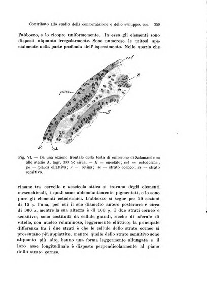 Archivio italiano di anatomia e di embriologia