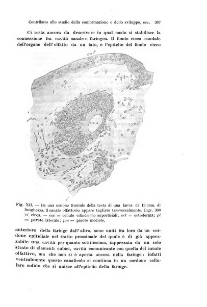 Archivio italiano di anatomia e di embriologia