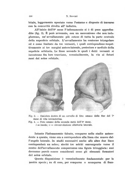 Archivio italiano di anatomia e di embriologia