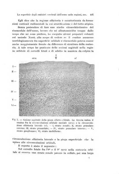 Archivio italiano di anatomia e di embriologia