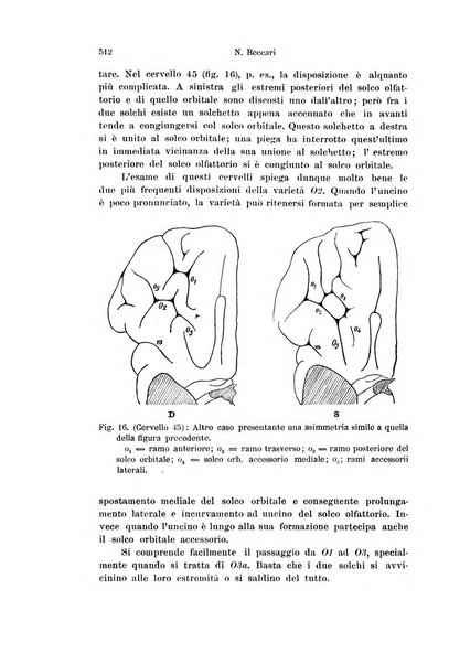 Archivio italiano di anatomia e di embriologia