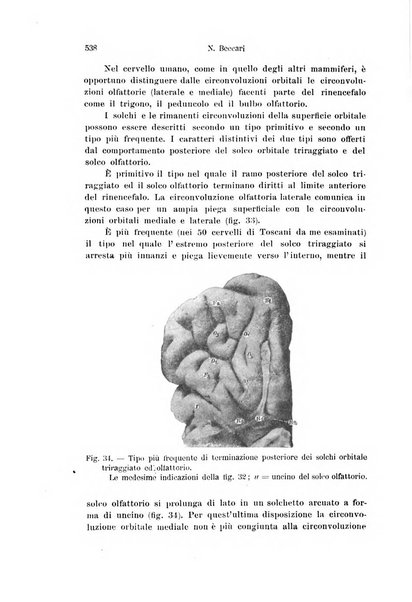 Archivio italiano di anatomia e di embriologia