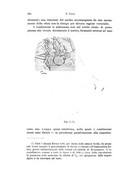 Archivio italiano di anatomia e di embriologia