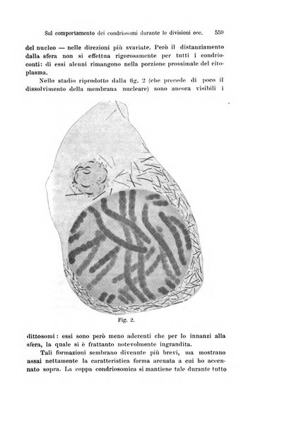 Archivio italiano di anatomia e di embriologia