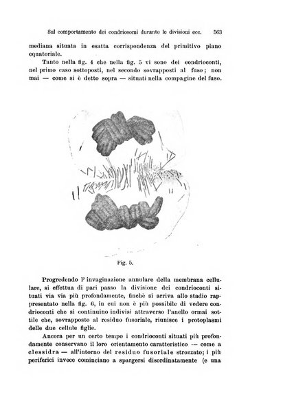 Archivio italiano di anatomia e di embriologia