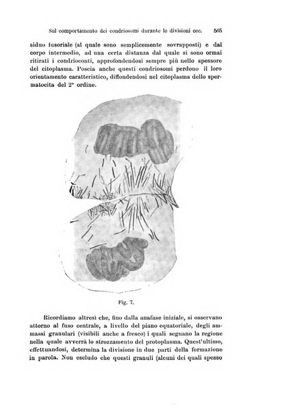 Archivio italiano di anatomia e di embriologia