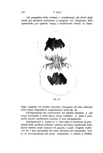 Archivio italiano di anatomia e di embriologia