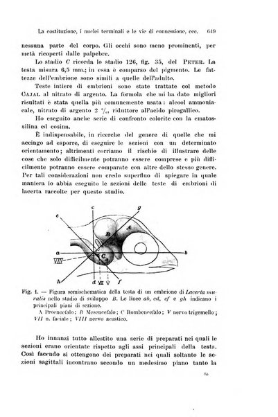 Archivio italiano di anatomia e di embriologia