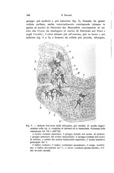 Archivio italiano di anatomia e di embriologia