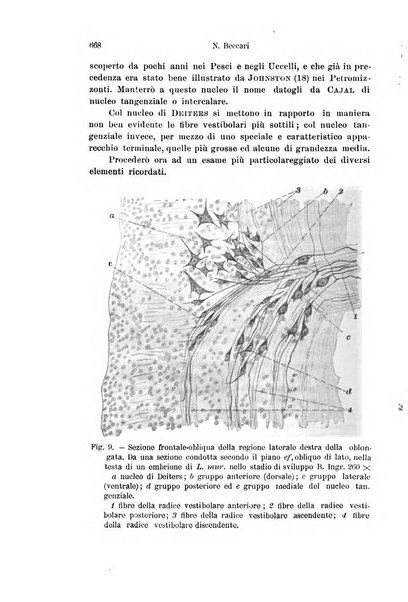 Archivio italiano di anatomia e di embriologia