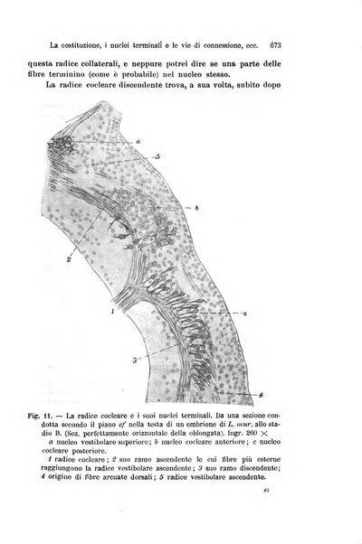 Archivio italiano di anatomia e di embriologia