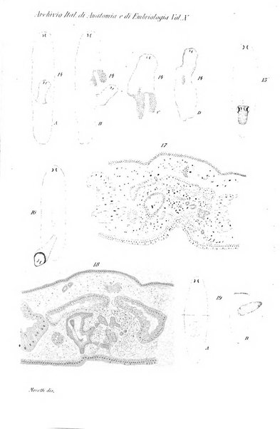 Archivio italiano di anatomia e di embriologia