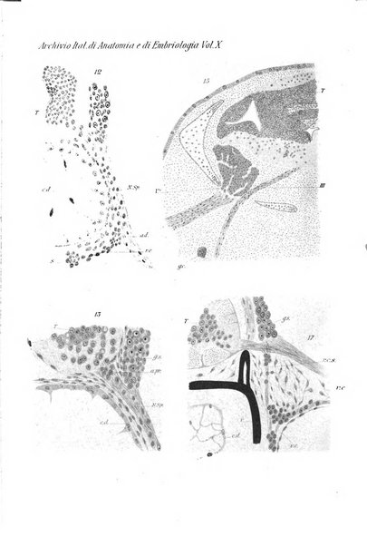 Archivio italiano di anatomia e di embriologia