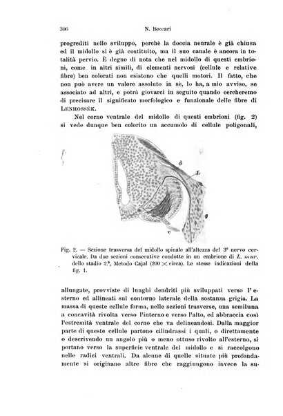 Archivio italiano di anatomia e di embriologia