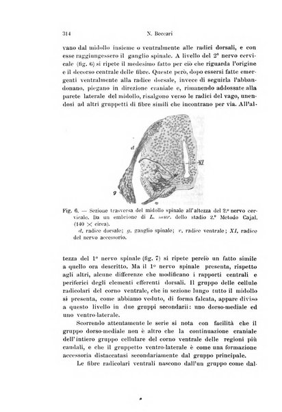 Archivio italiano di anatomia e di embriologia