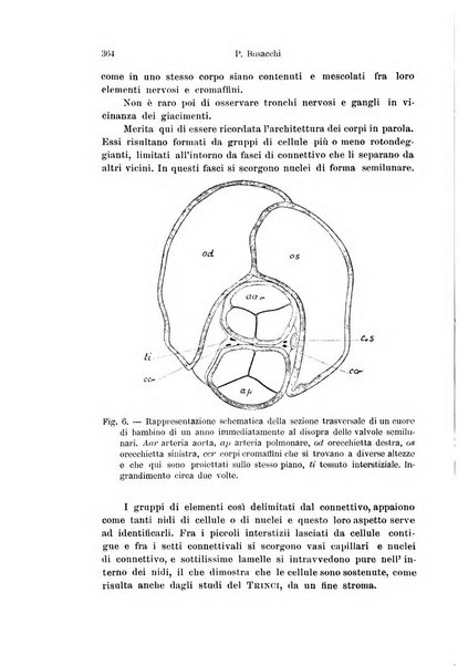 Archivio italiano di anatomia e di embriologia