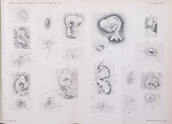 Archivio italiano di anatomia e di embriologia