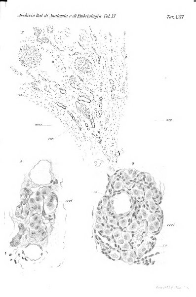 Archivio italiano di anatomia e di embriologia