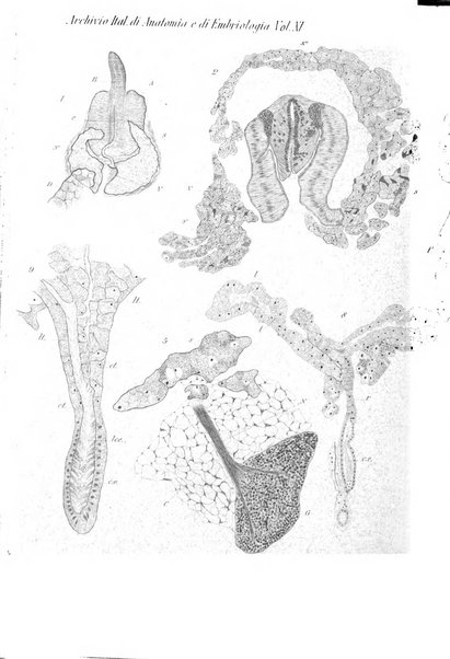 Archivio italiano di anatomia e di embriologia