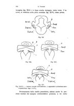 giornale/TO00176875/1913-1914/unico/00000116