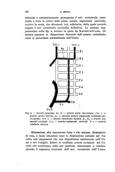 Archivio italiano di anatomia e di embriologia