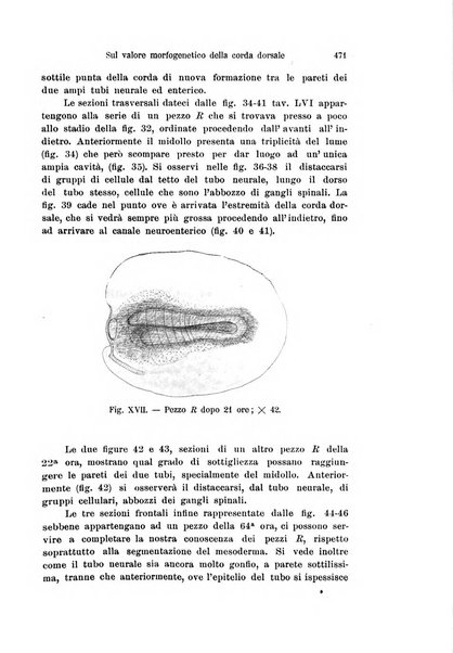 Archivio italiano di anatomia e di embriologia