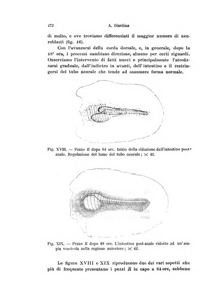 Archivio italiano di anatomia e di embriologia