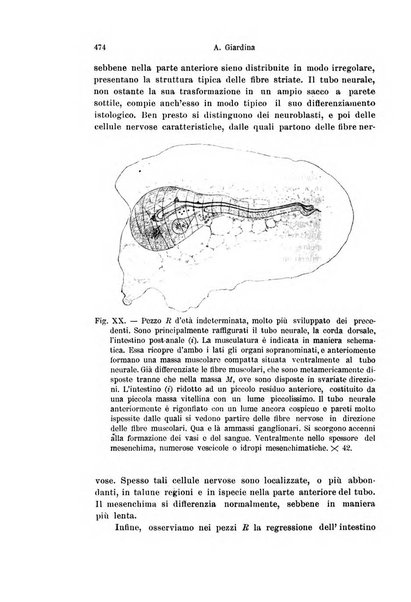 Archivio italiano di anatomia e di embriologia