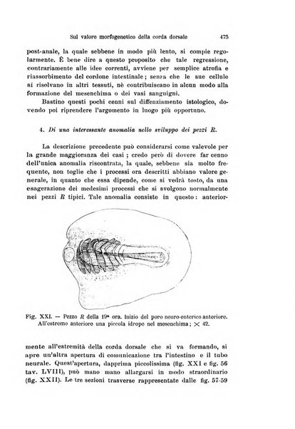 Archivio italiano di anatomia e di embriologia