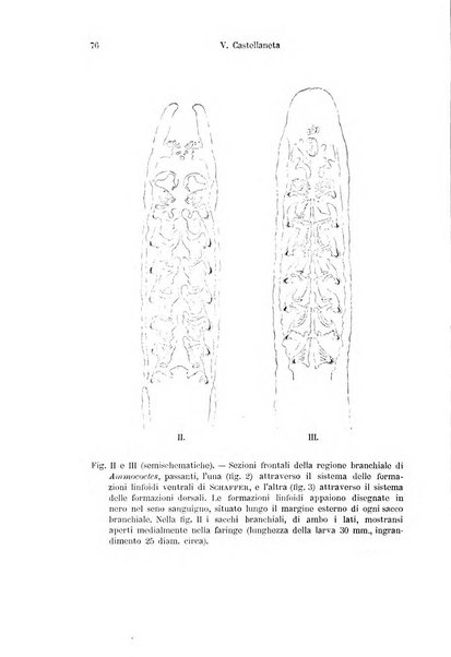 Archivio italiano di anatomia e di embriologia