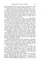 giornale/TO00176875/1915-1916/unico/00000099