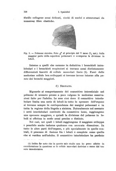 Archivio italiano di anatomia e di embriologia