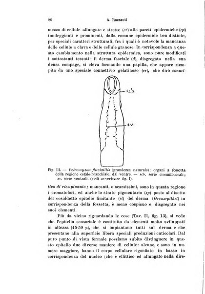 Archivio italiano di anatomia e di embriologia