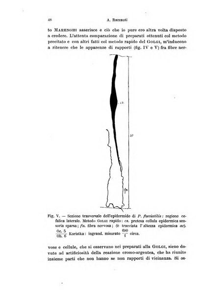 Archivio italiano di anatomia e di embriologia