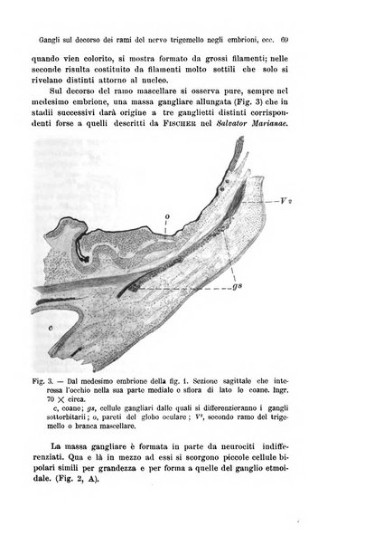 Archivio italiano di anatomia e di embriologia