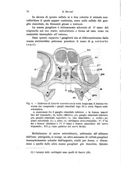 Archivio italiano di anatomia e di embriologia