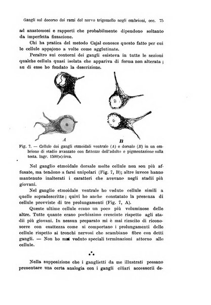 Archivio italiano di anatomia e di embriologia