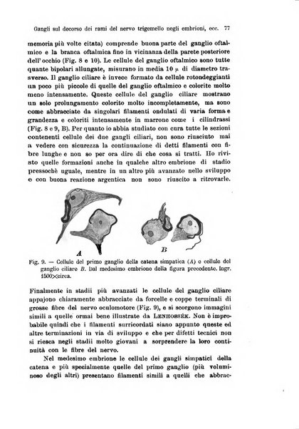 Archivio italiano di anatomia e di embriologia