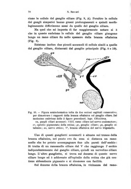 Archivio italiano di anatomia e di embriologia