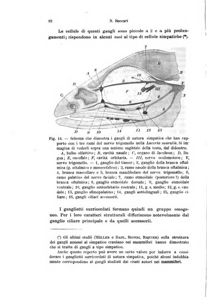 Archivio italiano di anatomia e di embriologia