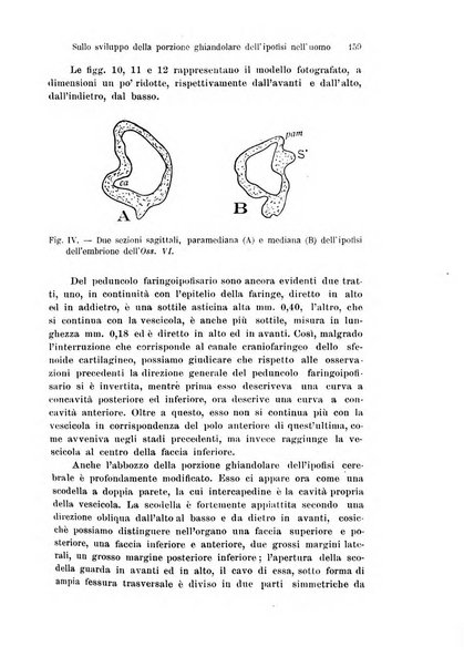 Archivio italiano di anatomia e di embriologia