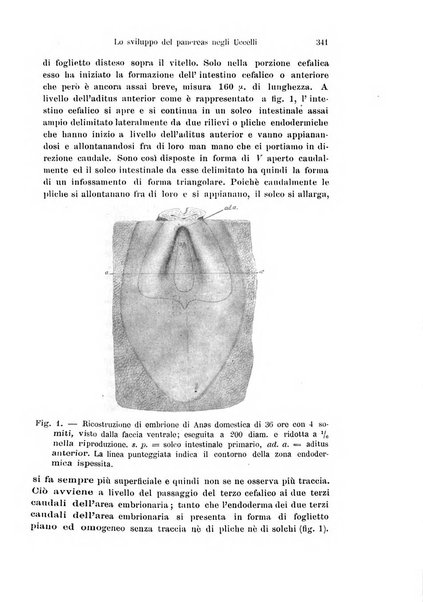 Archivio italiano di anatomia e di embriologia