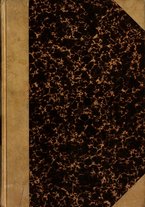 giornale/TO00176875/1916/unico