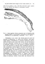 giornale/TO00176875/1917-1918/unico/00000199